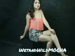 WetandWildMOCHA