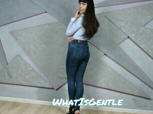 WhatIsGentle