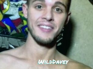 WildDavey