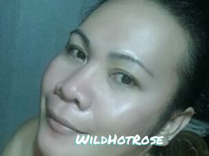WildHotRose