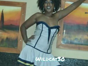 Wildcat30