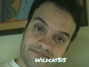 Wildcat315