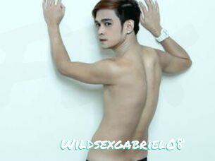 Wildsexgabriel08