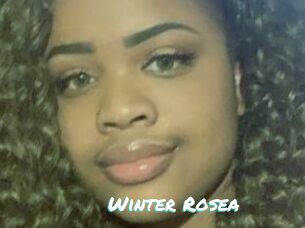 Winter_Rosea