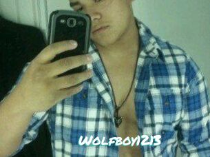 Wolfboy1213