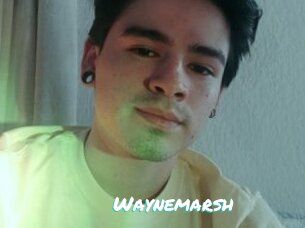 Waynemarsh