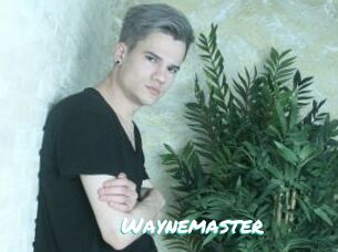 Waynemaster