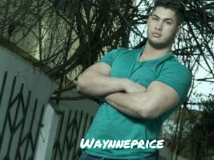 Waynneprice