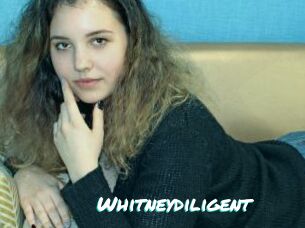 Whitneydiligent
