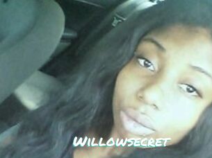Willow_secret