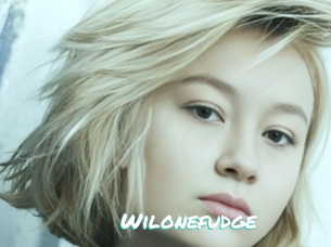 Wilonefudge