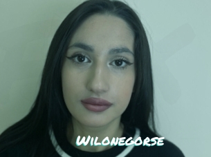 Wilonegorse