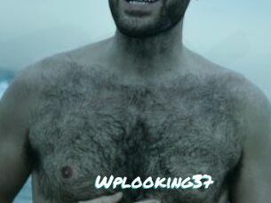 Wplooking37