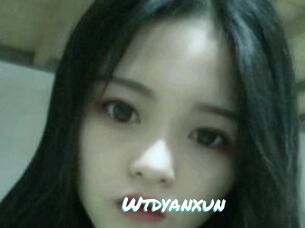 Wtdyanxun