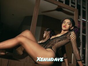 Xenindave