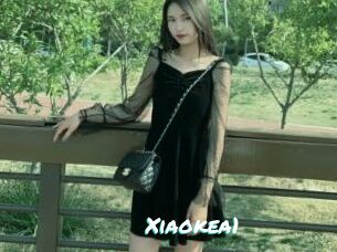 Xiaokea1
