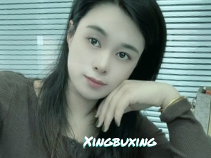 Xingbuxing