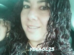 YECAOL23