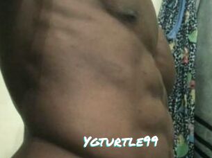 Ygturtle99