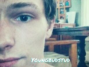 Youngbudstud