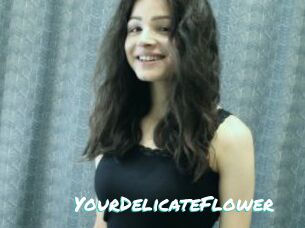 YourDelicateFlower