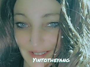 Yintotheyang