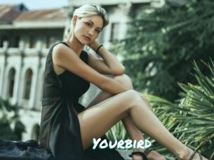 Yourbird