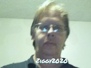 Ziggy2020