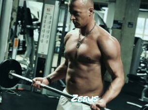 Zeeus
