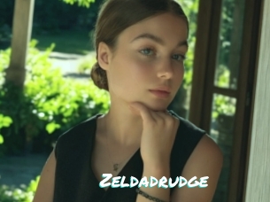 Zeldadrudge