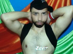 Zevit